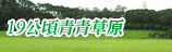19公頃青青草原
